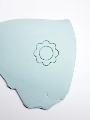 PSX_20260120_140731 Foremka do gliny lub modeliny - stokrotka 2